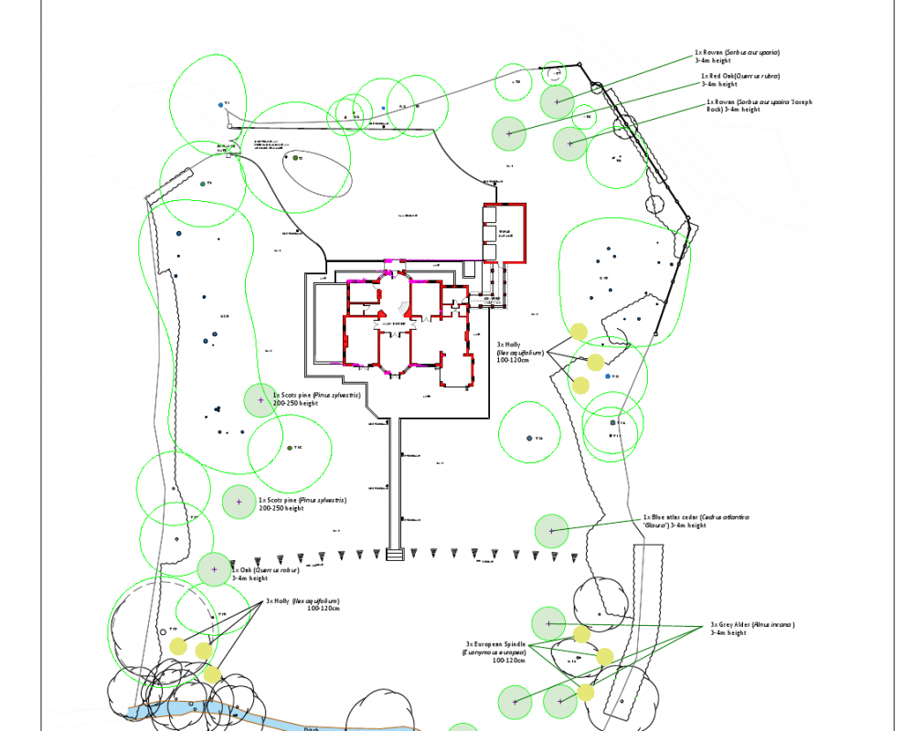 Bacon Saver Landscape Bacon Saver Landscape